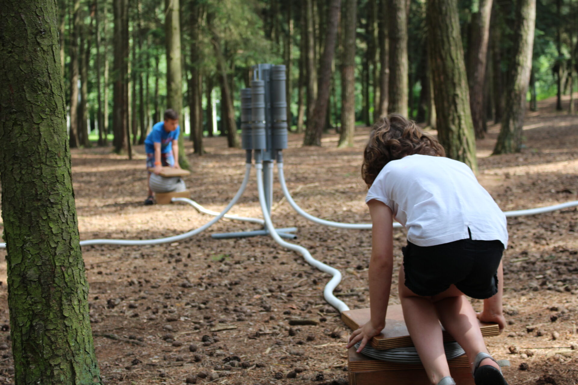 Mobile installations during Brosella
